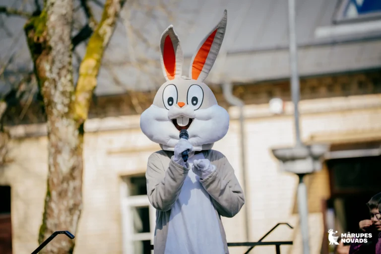 Faila XL zaķis.jpg kopija