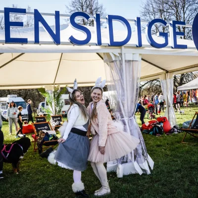 Abi zaķi Stirnu bukā pie Gjensidige uzraksta