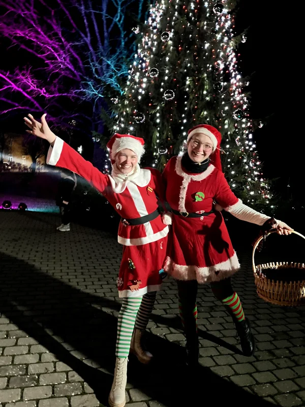 Egles iedegšana Mezsalacā